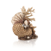 biOrb KORAAL & SCHELPEN ORNAMENT NATUREL